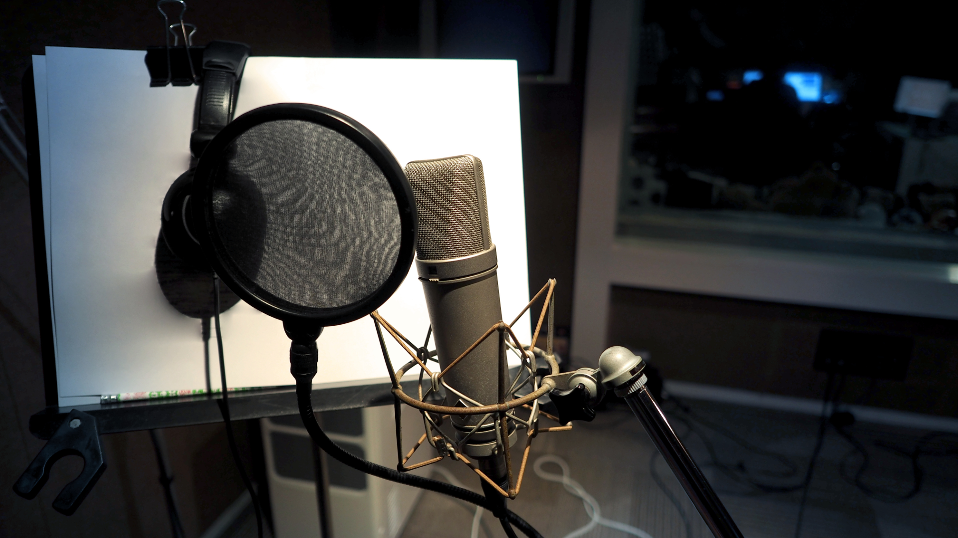 Professional Voice Over